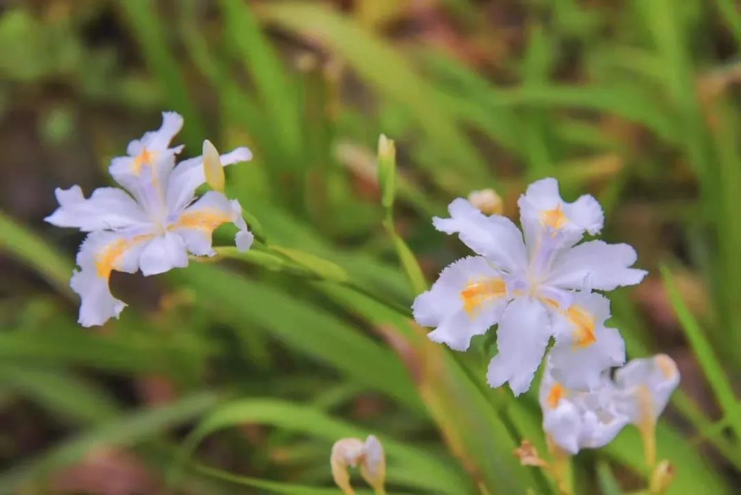 龙8头号玩家(国际)官方网站