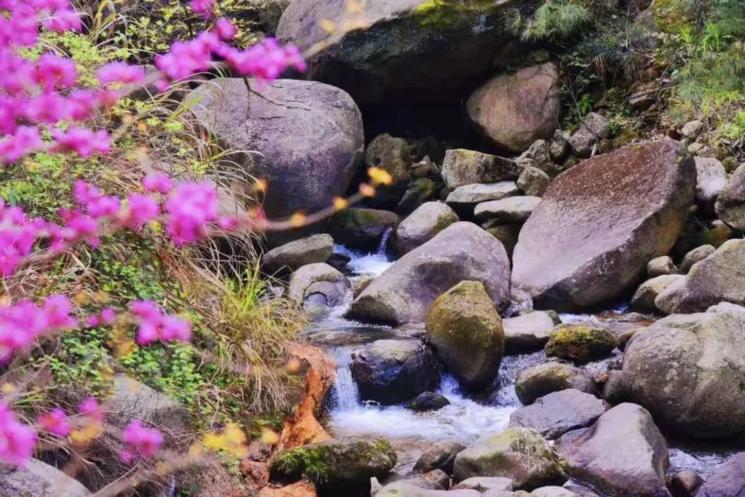 龙8头号玩家(国际)官方网站